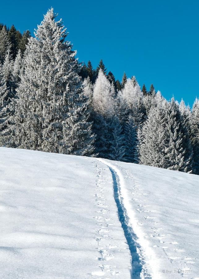 Haus Lorea Ehrwald Bagian luar foto