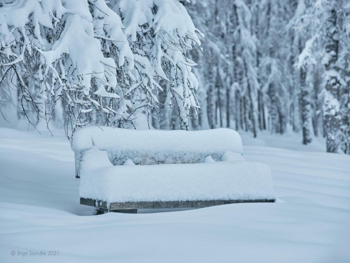Haus Lorea Ehrwald Bagian luar foto